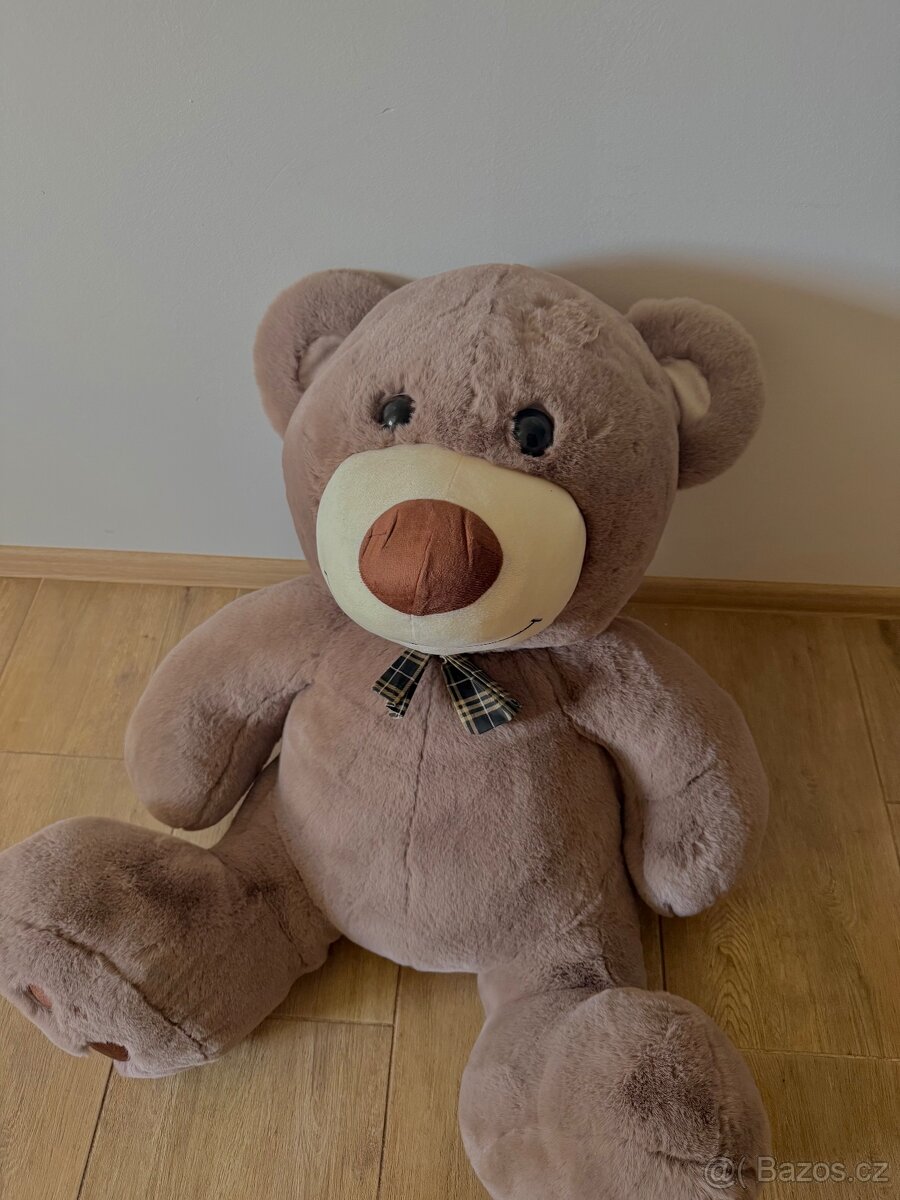 Prodám velkého medvěda🐻 - 2
