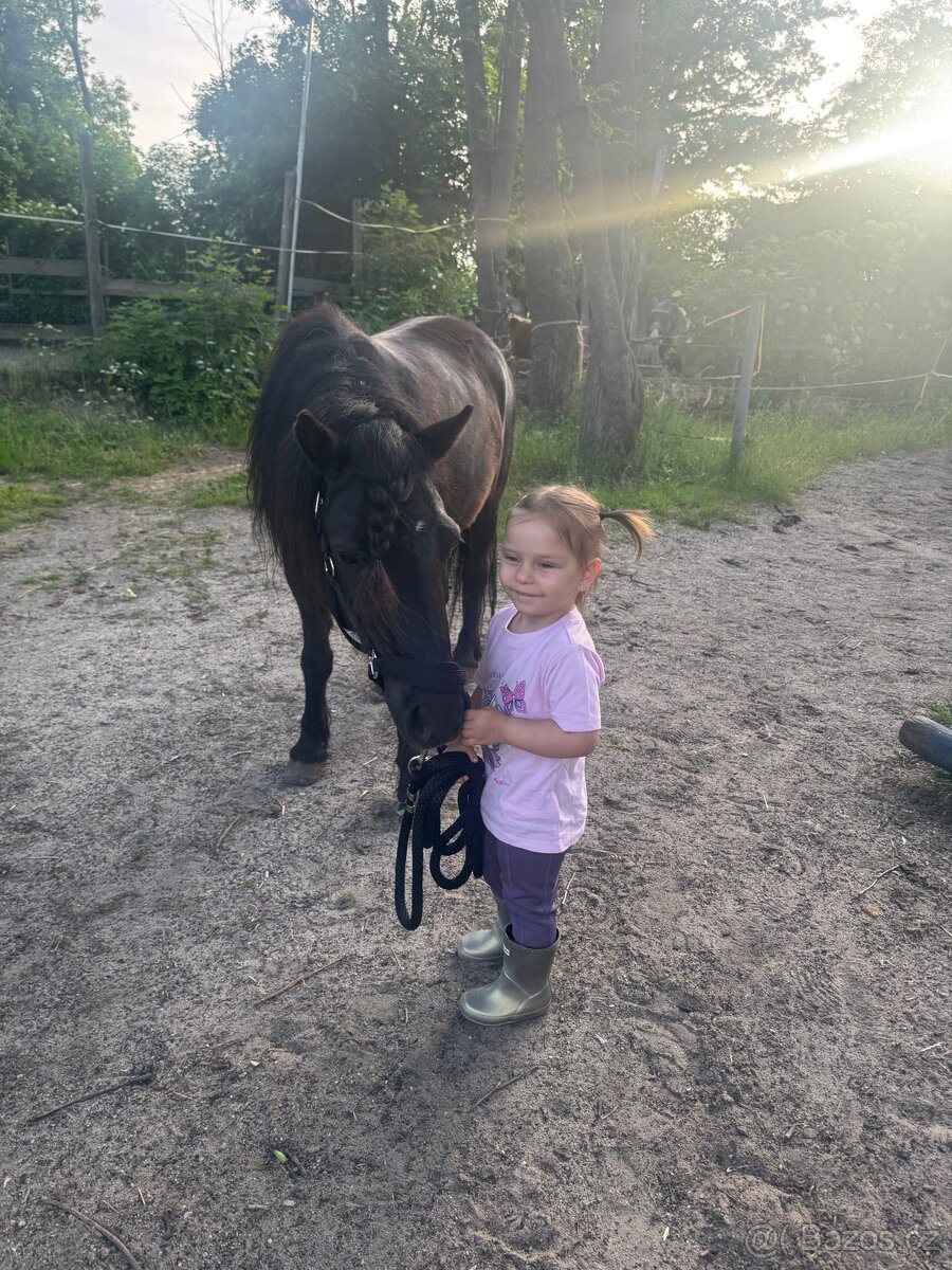 Pony klisnička - 2