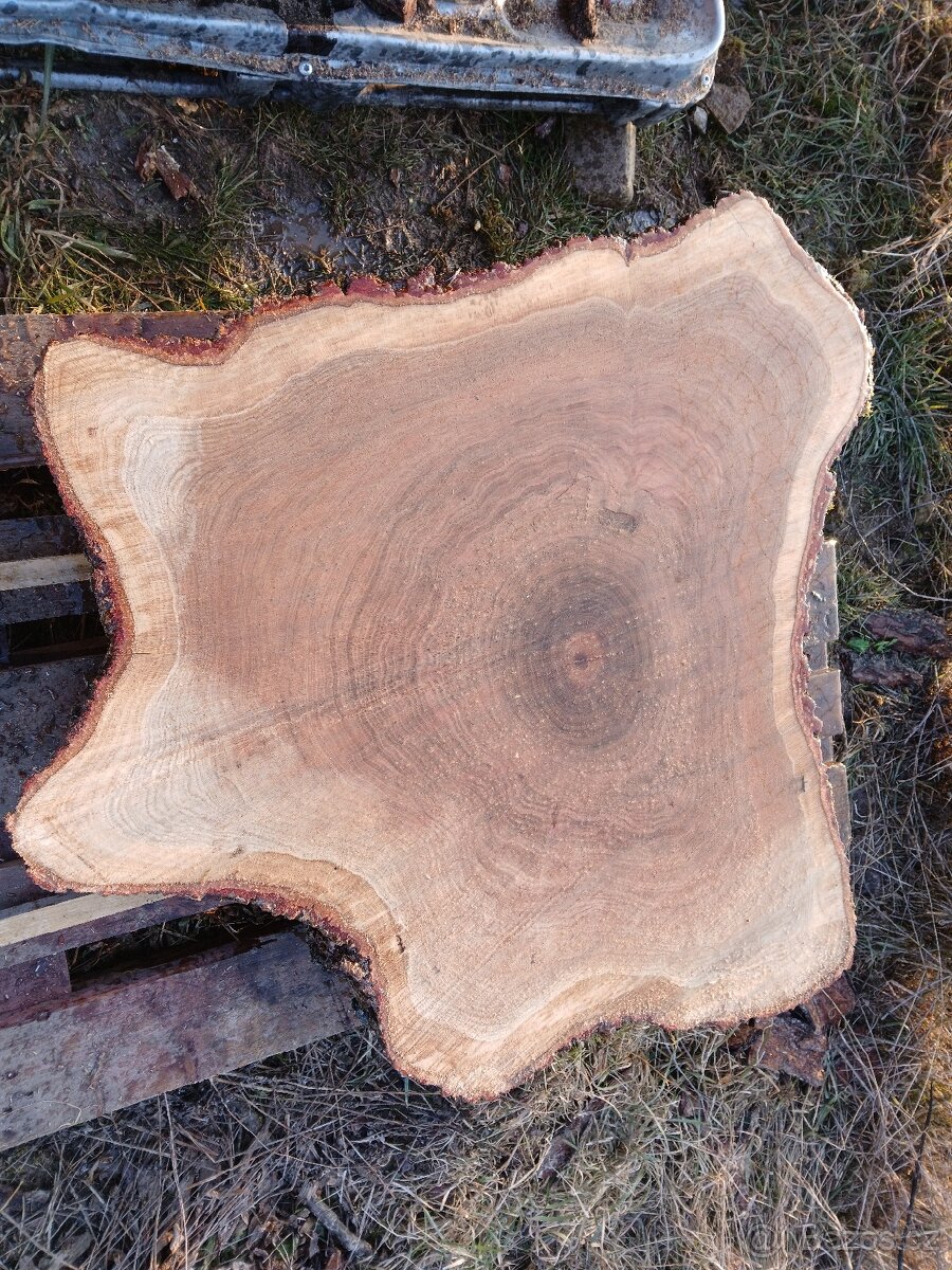 Dubové koláče - 2