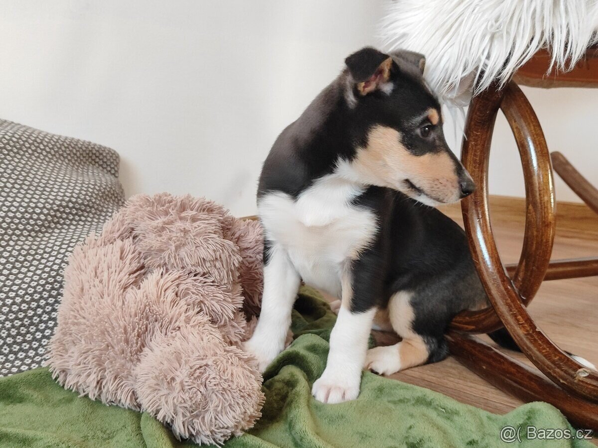 Biham nebude sedět v koutě :-) - 2