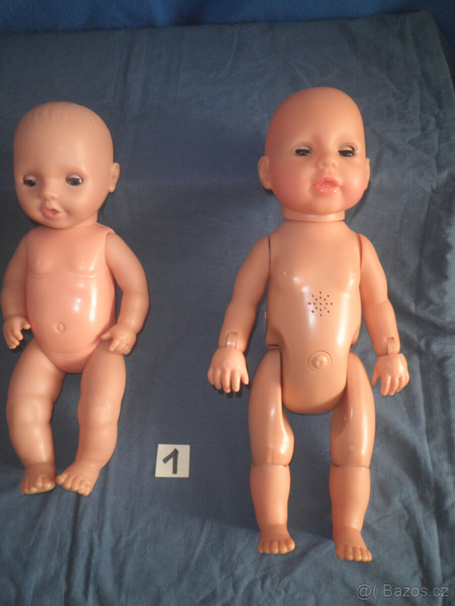 Panenka kloubová velká - 2