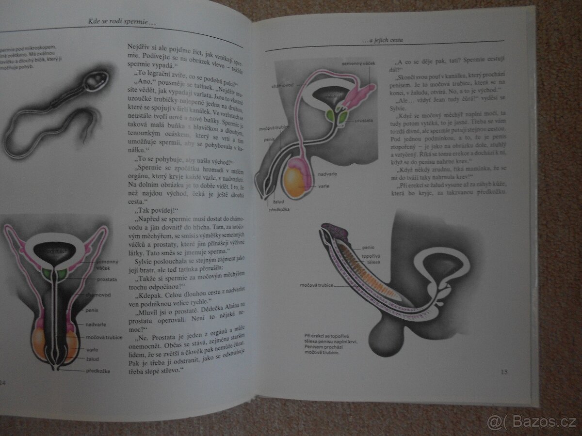 ENCYKLOPEDIE pohlavního života - 2
