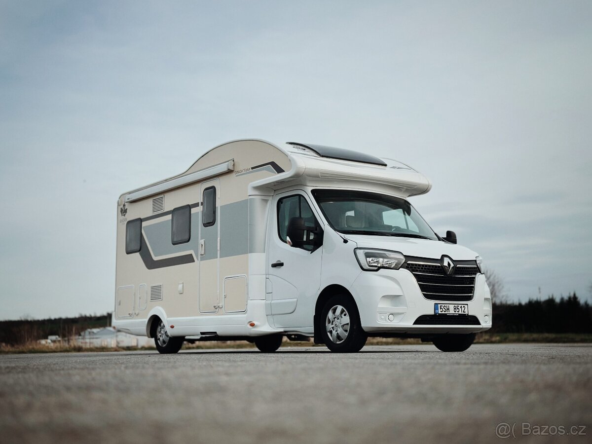 Ahorn Canada Tu- plus - 2