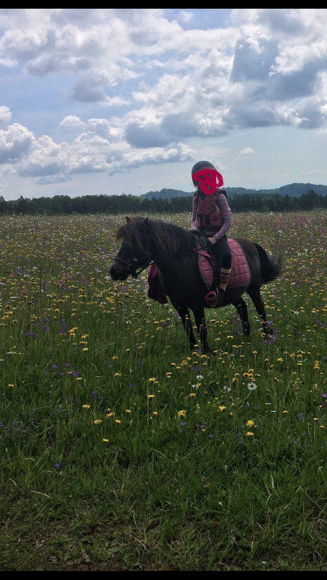 Jedinečný poník - 2