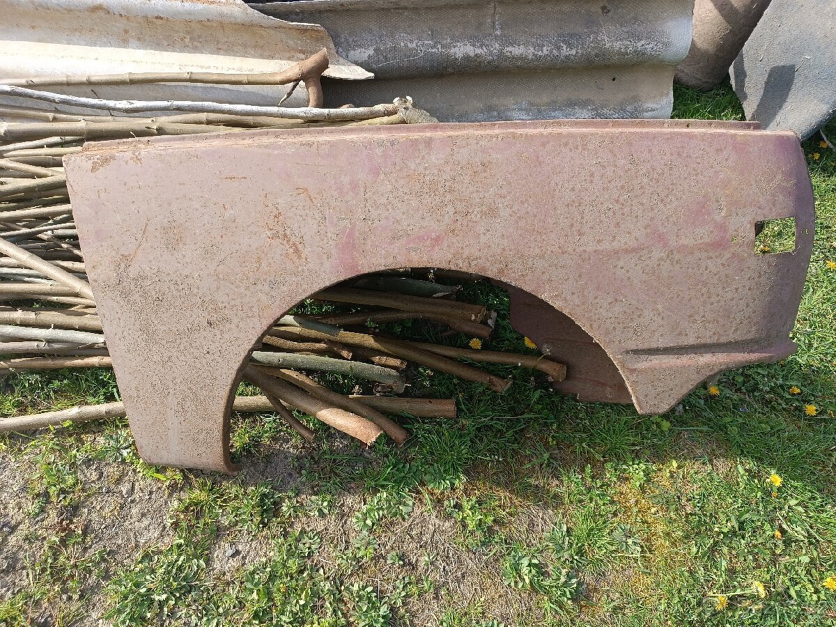 Prodám pravý blatník - 2