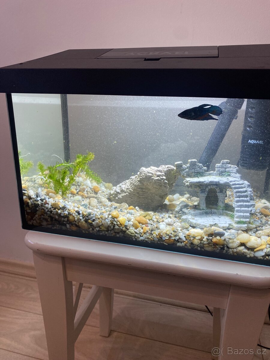 Akvárium, stačí napustit a koupit rybičky - 2
