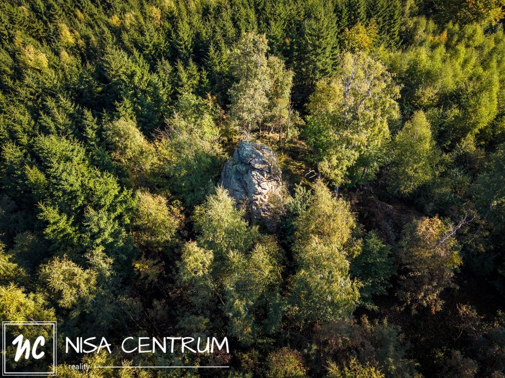 Prodej lesa 30 343 m² v Šimonovicích - 2