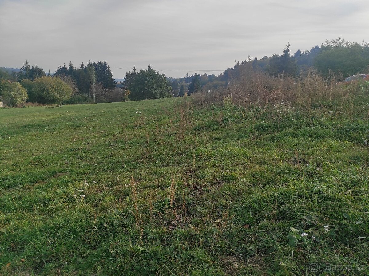 Pronajmu louku - pastvinu 10000 m2 - 2
