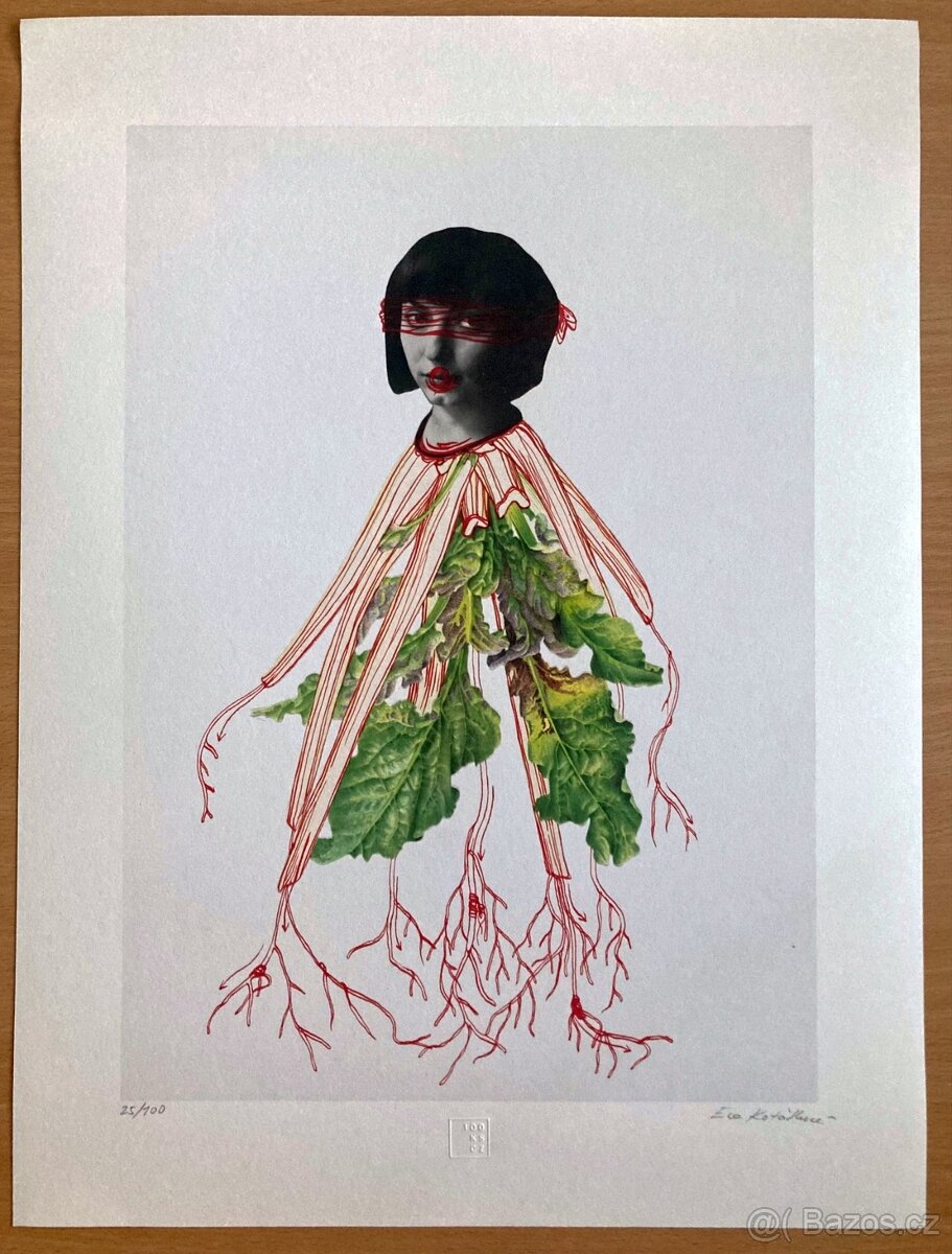 Eva Koťátková - Replanted - 2