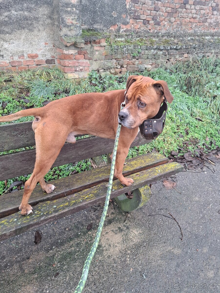 Daruji do dobrých rukou - 2