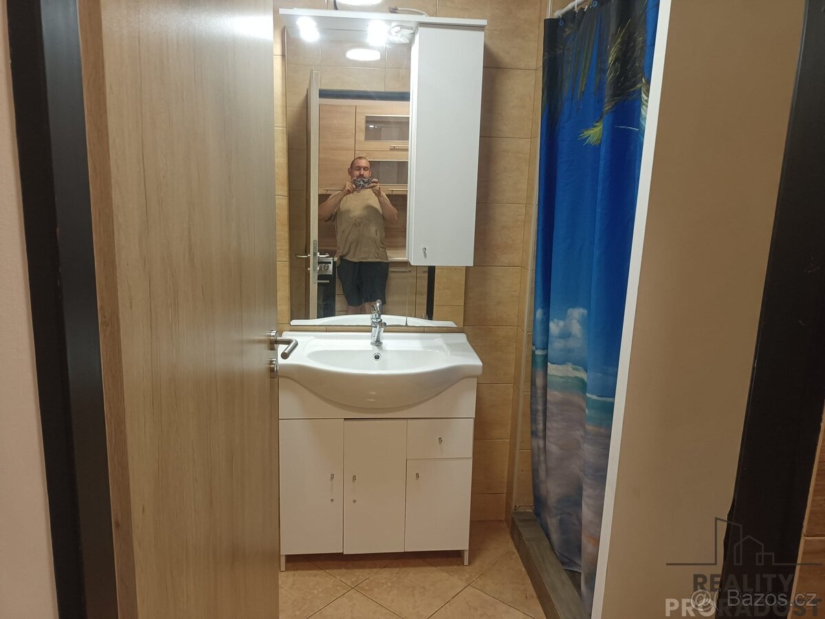 Pronájem bytu 1+1, Bělušice - 2