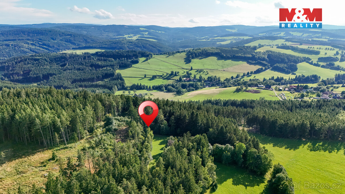 Prodej lesa, 15707 m², Petrovice u Sušice - 2