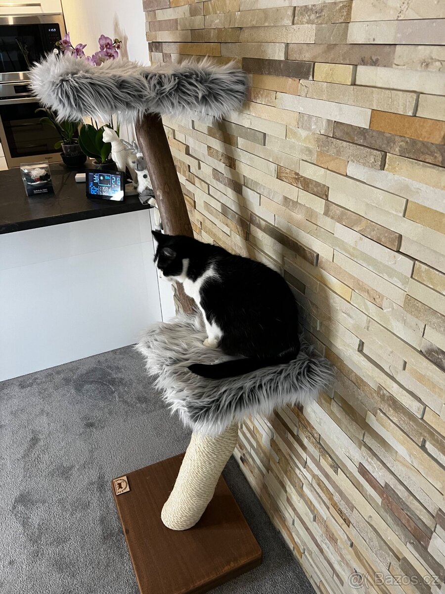 Škrabadla pro kočky - 2