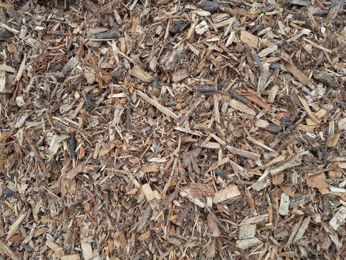 Listnata štěpka - 2