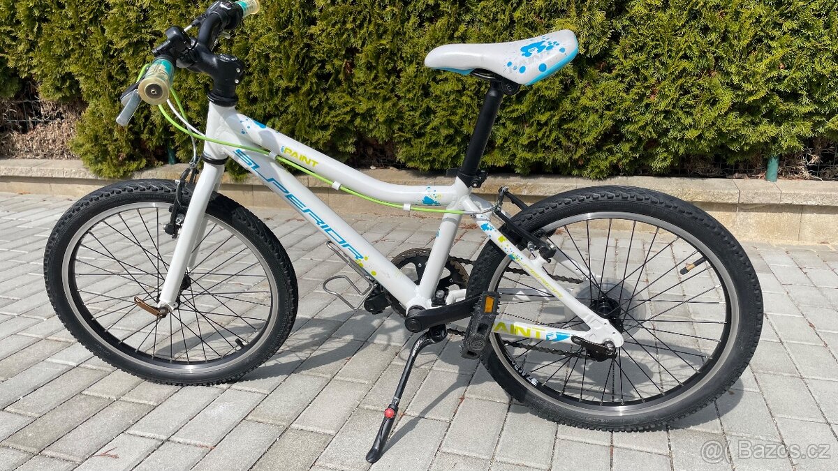 Superior Paint 20 - 2