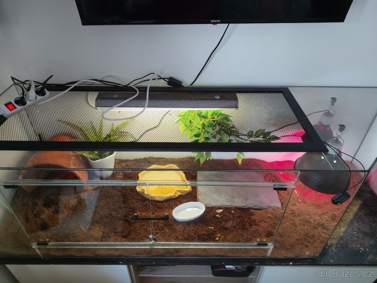 Terarium - 2