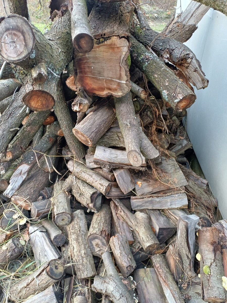 Trnkové dřevo na uzení - 2