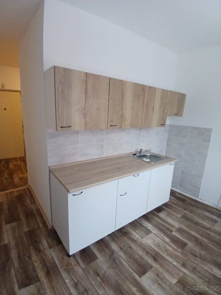 Pronájem 2+1 - 2