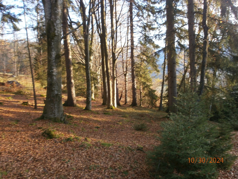 Prodej pozemků 4029 m2 v k.ú. Hojsova Stráž - 2