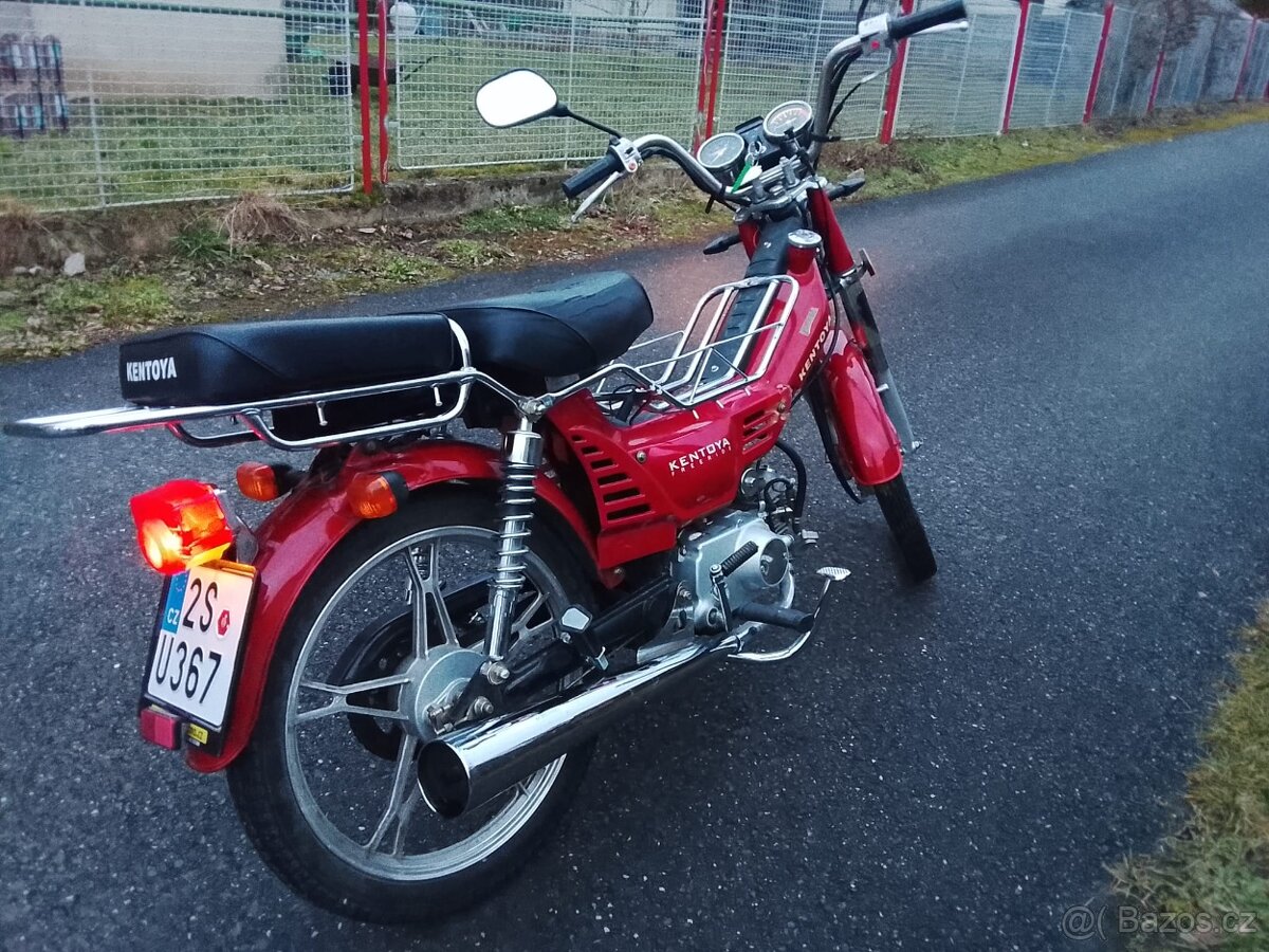 Kentoya twin cup 50 - 2