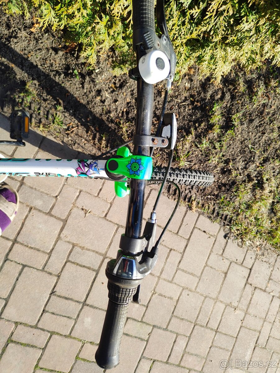 Kolo AUTHOR COSMOS 20 - 2