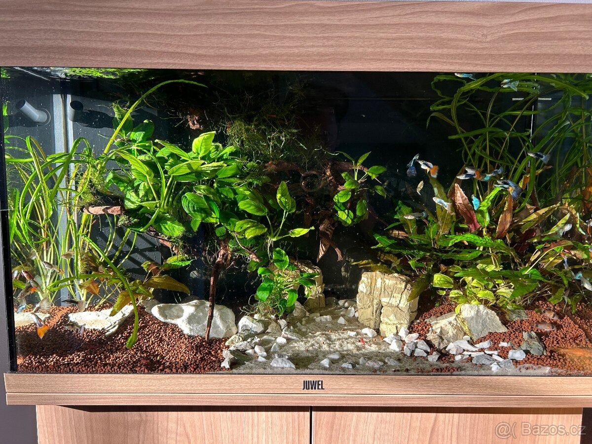 Akvarijní komplet Juwel Rio 125 - 2