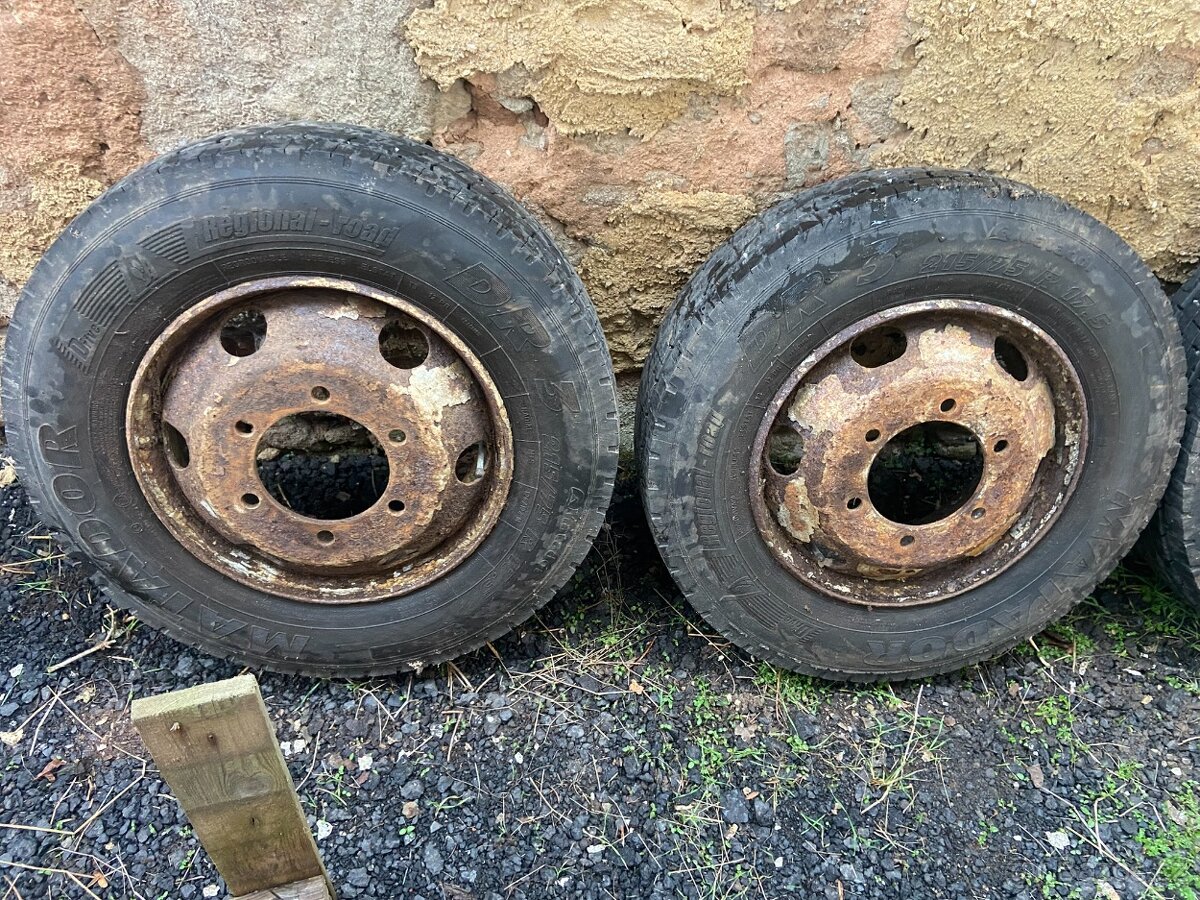 Disky s pneu AVIA D75/90 215/75/R17.5 - 2