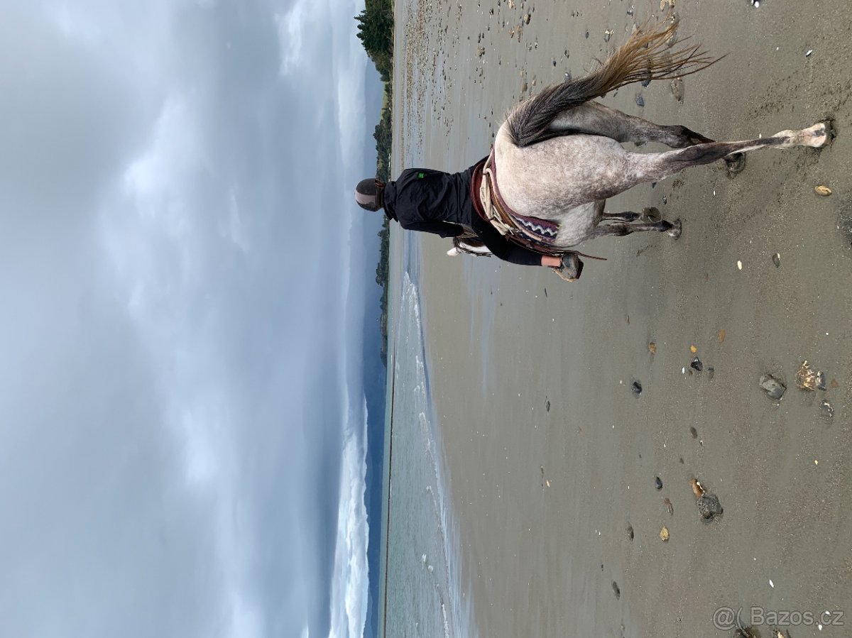 Poptavam vyjizdky na koni - 2