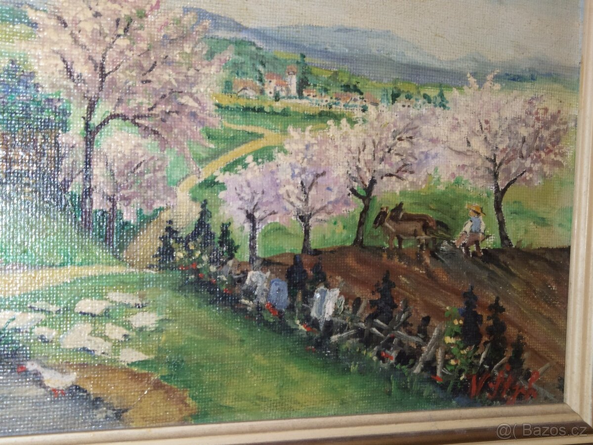 Obraz 61 × 51 , olejomalba / na kartonu - 2