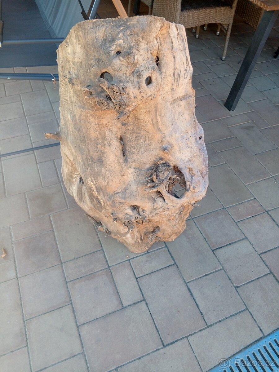 Topolové skořepiny - 2