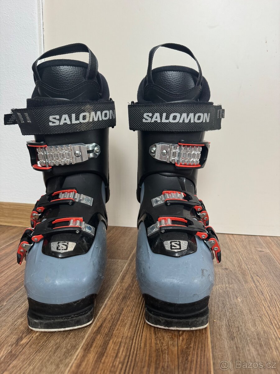Salomon - 2