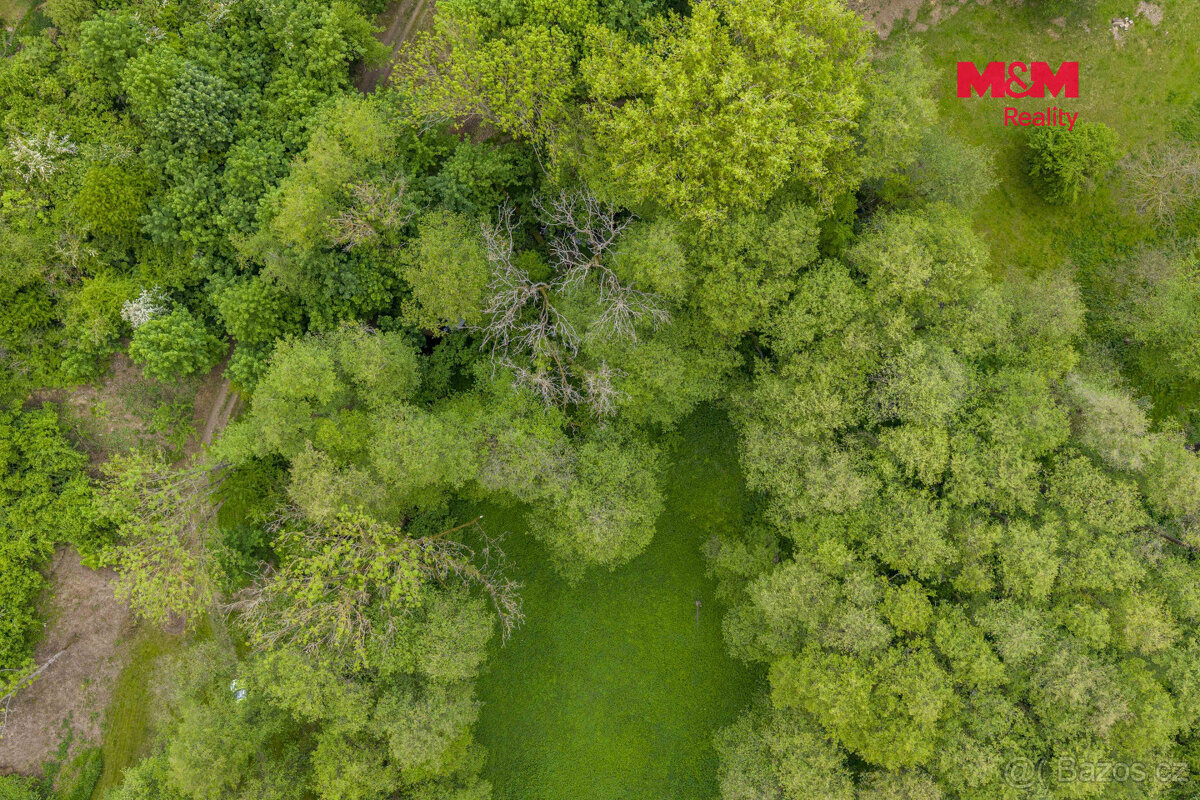 Prodej lesa, 491 m², Bohouňovice I - 2