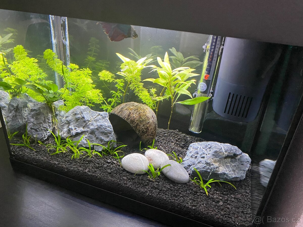 Akvárium Tetra 30l - 2