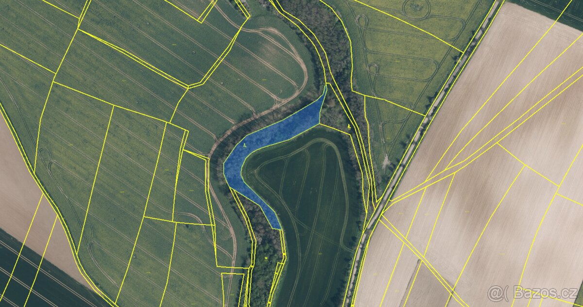 Prodám lesní pozemek v k. ú. Radouň - 2