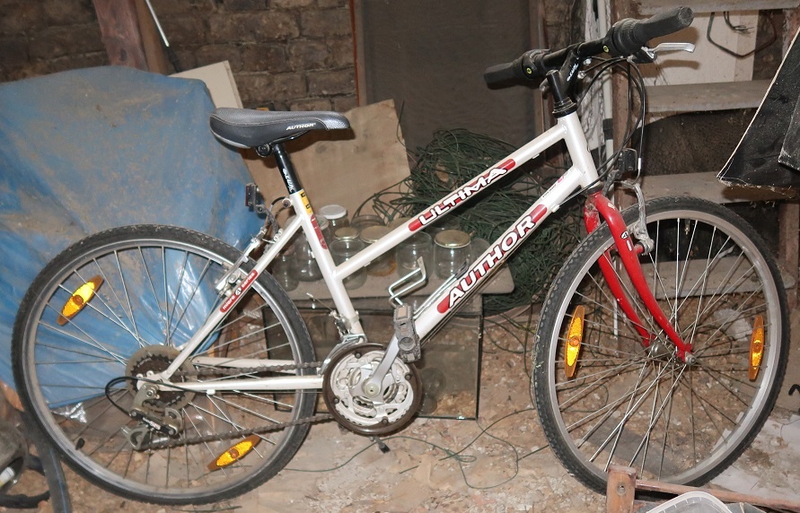 Horské, dětské a koloběžka - 2