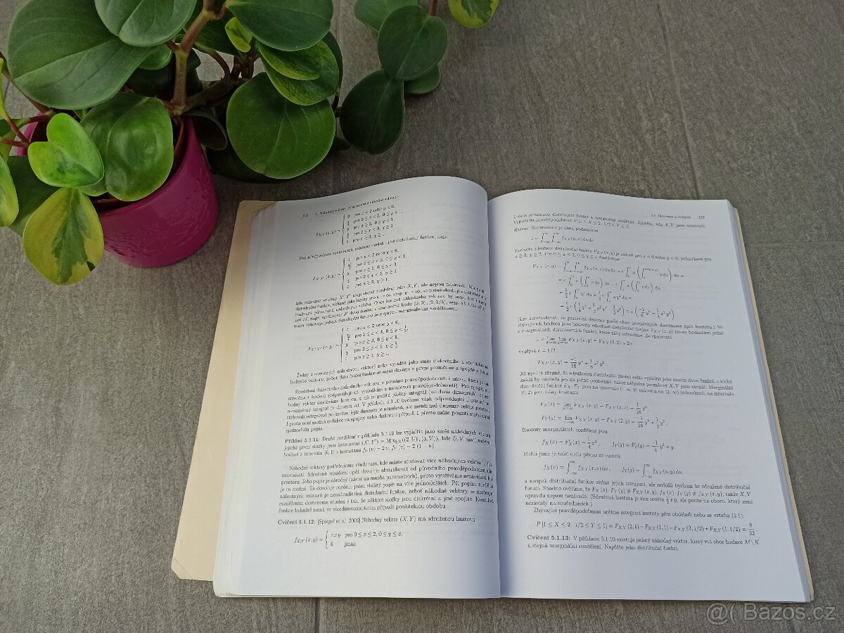 Pravděpodobnost a matematická statistika - 2