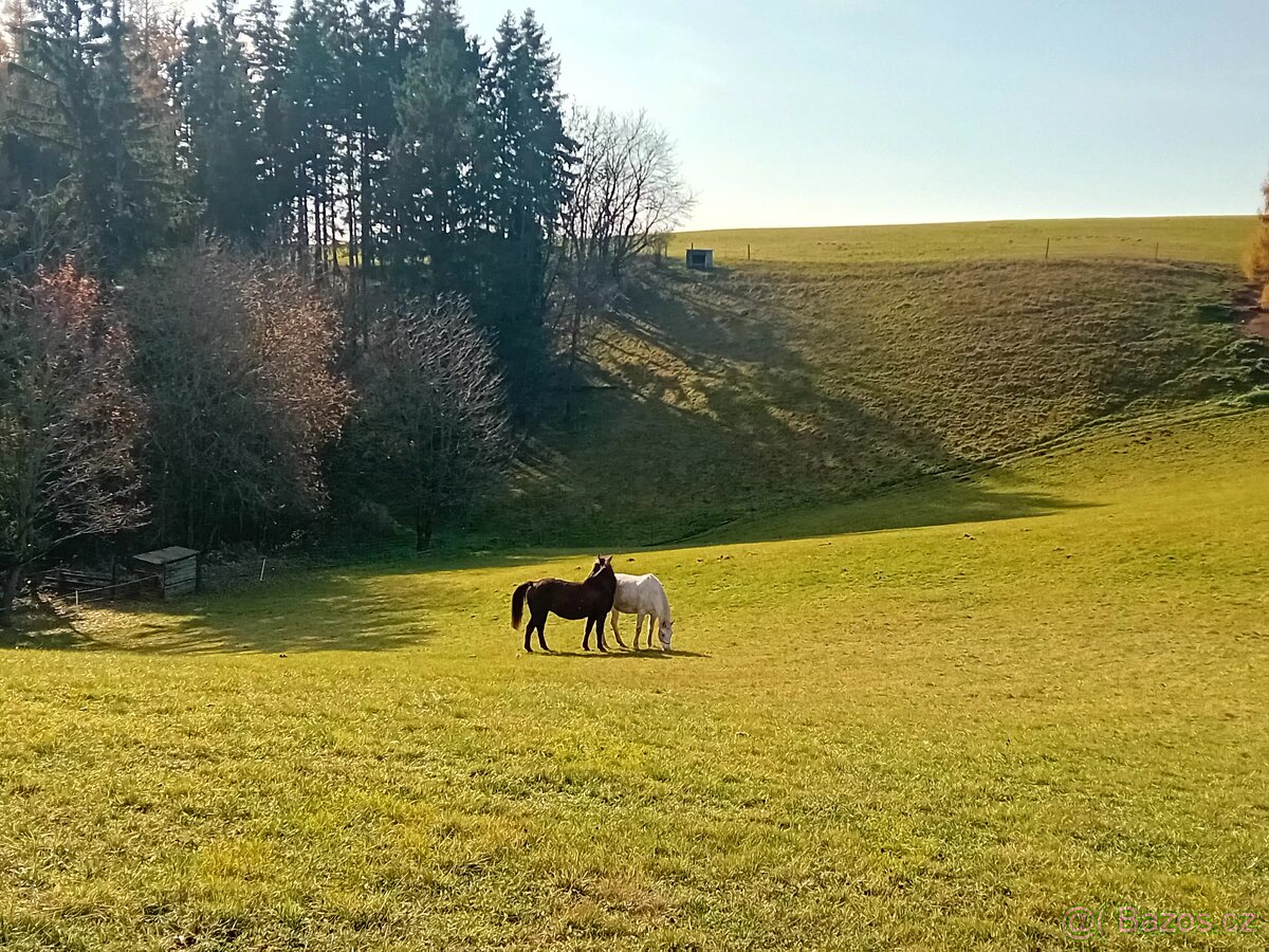 Pastevní ustájení - 2