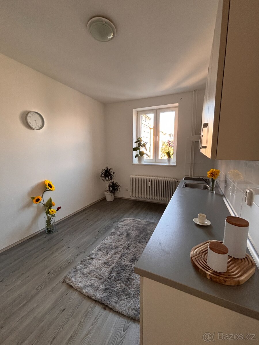 Pronájem bytu 1+1 50 m² - 2