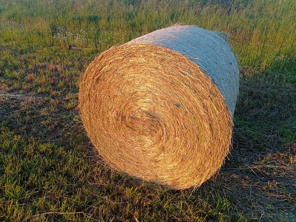 Seno první seč 2025 - 2