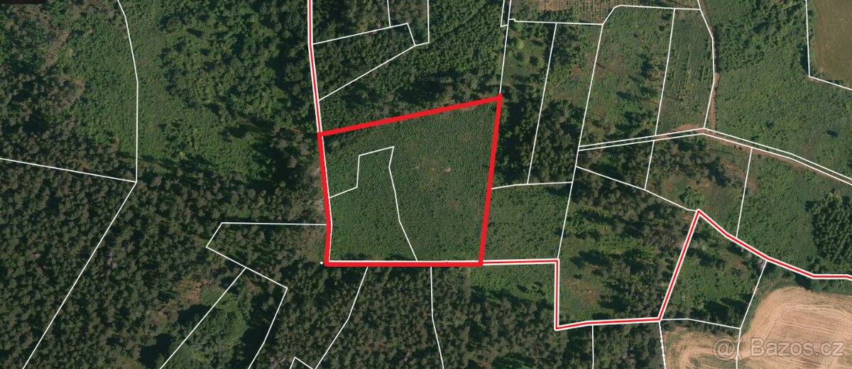Prodej lesa Milejovice 11506m2 - 2