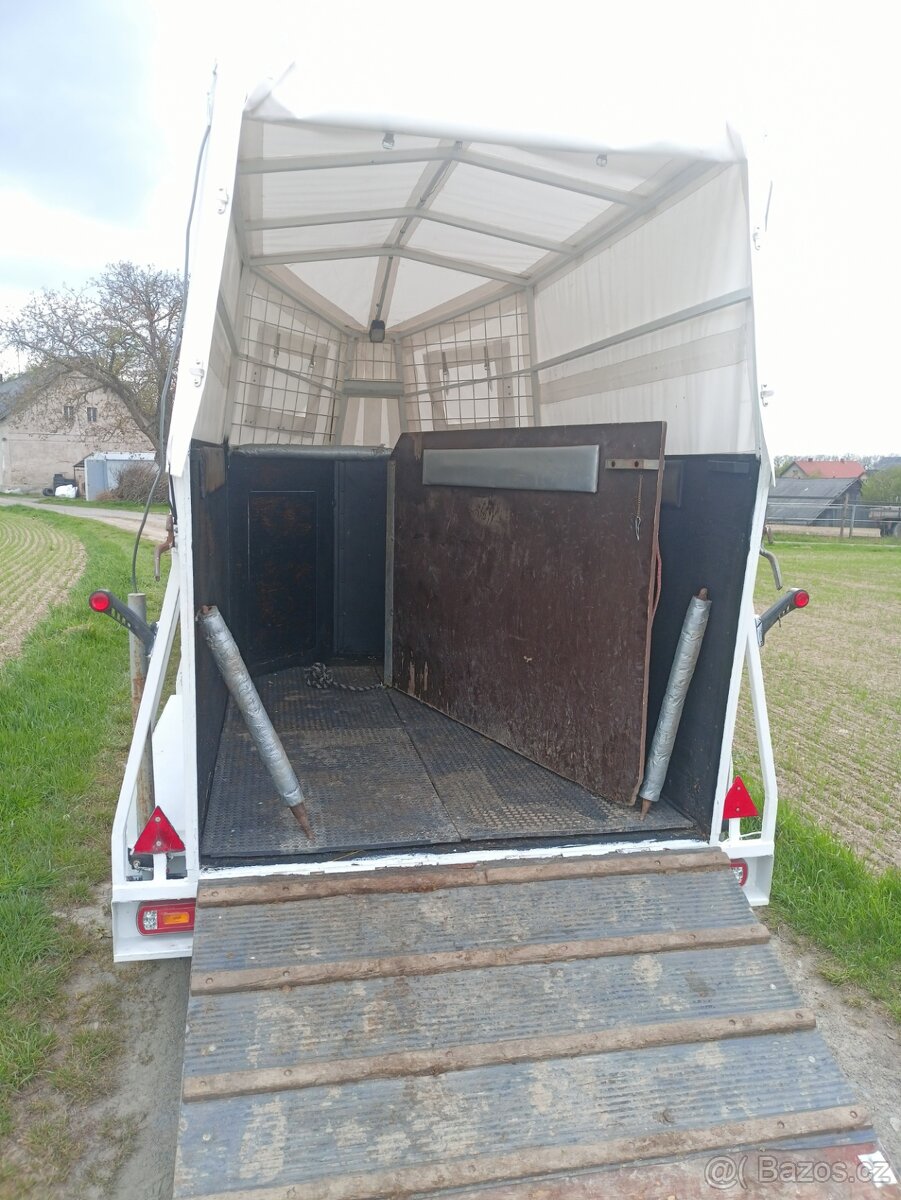Pronájem přepravníku, přeprava zvířat , auto přepravník., - 2