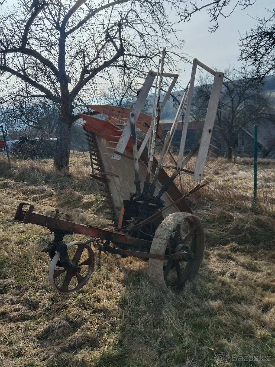 Hrstovka koňská sekačka - 2