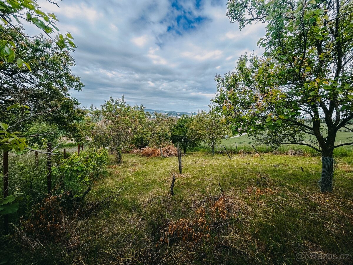 Zahrada Kyjov Sliny, plocha 1049m - 2