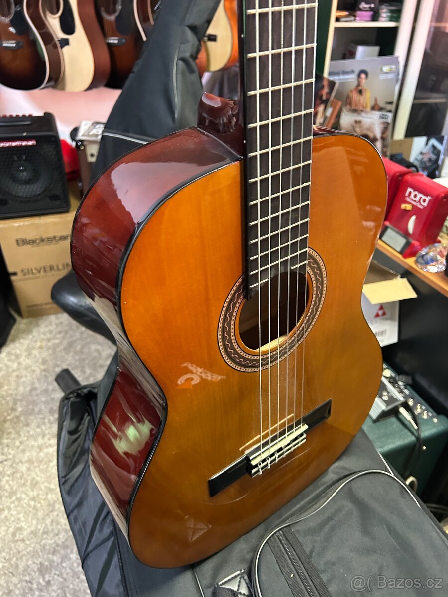 Kytarista proda a doporuci vhodny nsstroj - 2