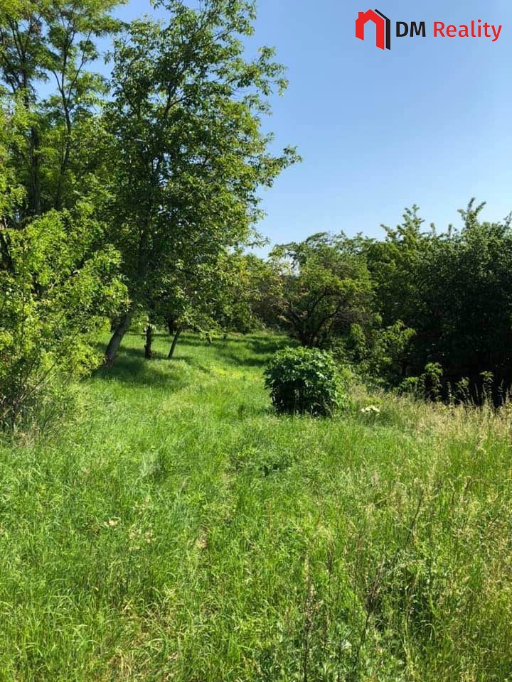 Prodej zahrady 5231 m2, Dalovice - 2