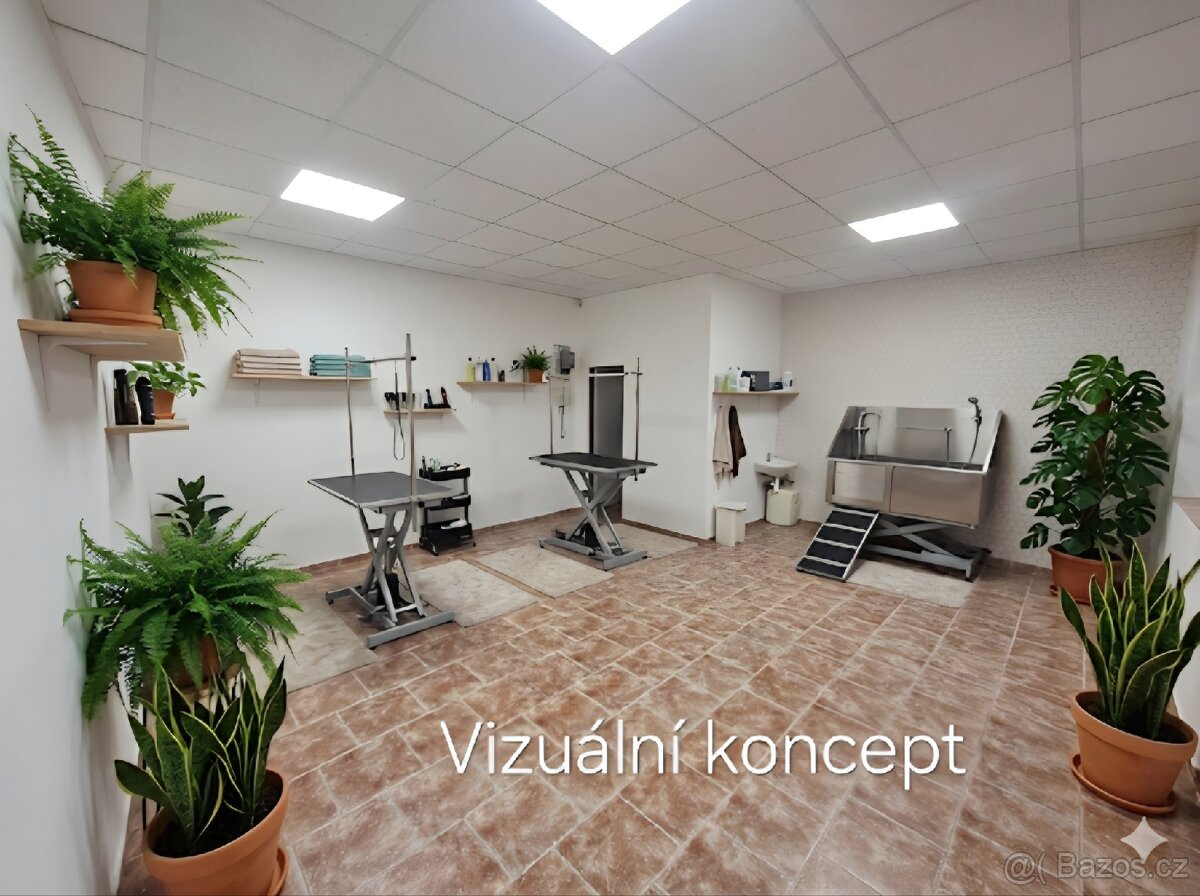 Pronajmu komerční prostor - 2