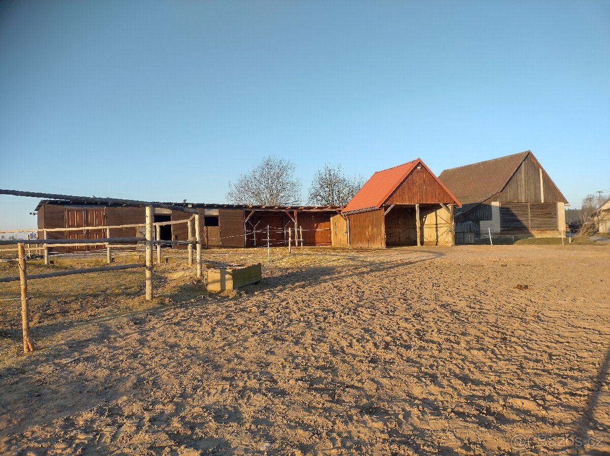 Ustájení koní - 2