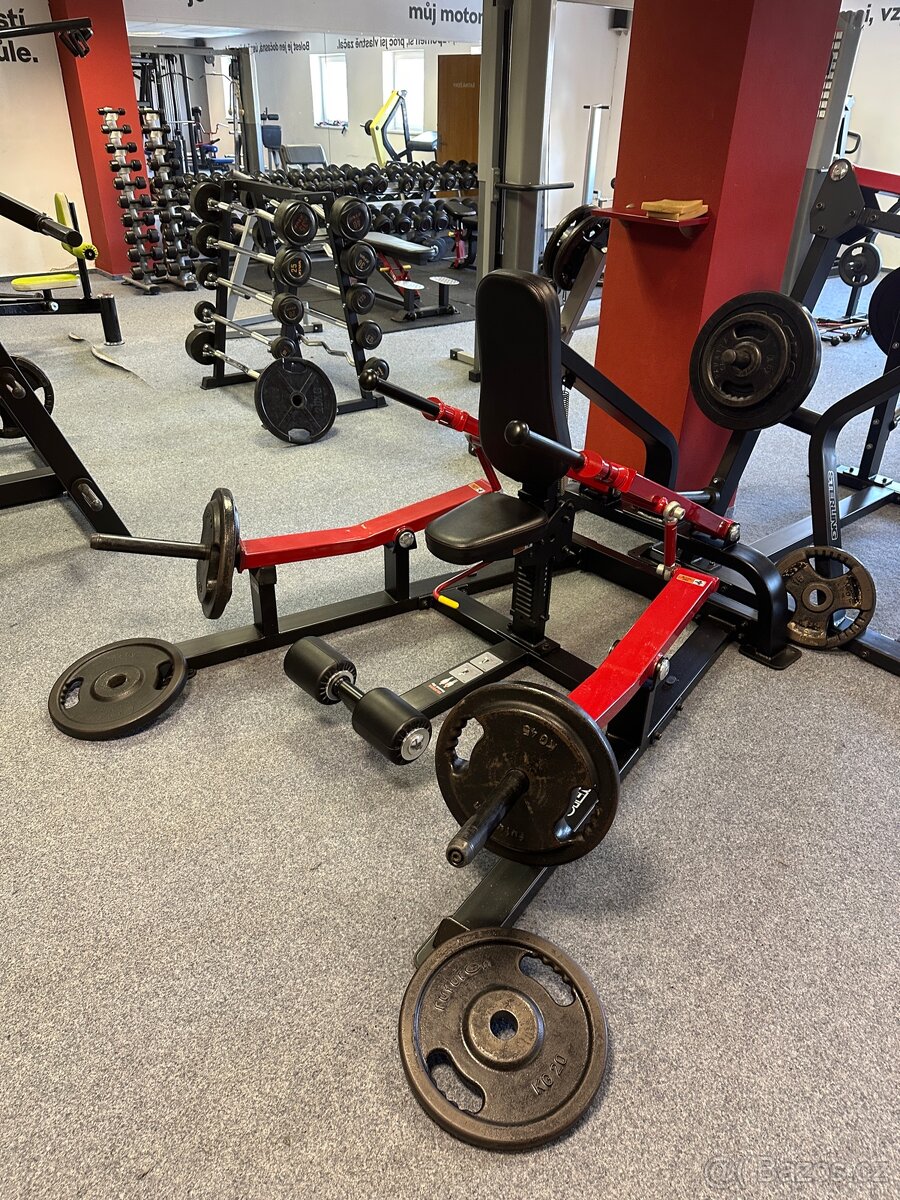 Sterling triceps - 2