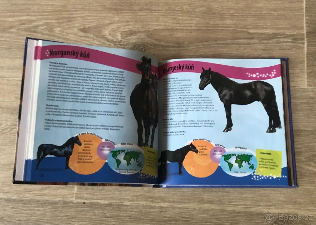 Kniha - Koně našeho světa - 2