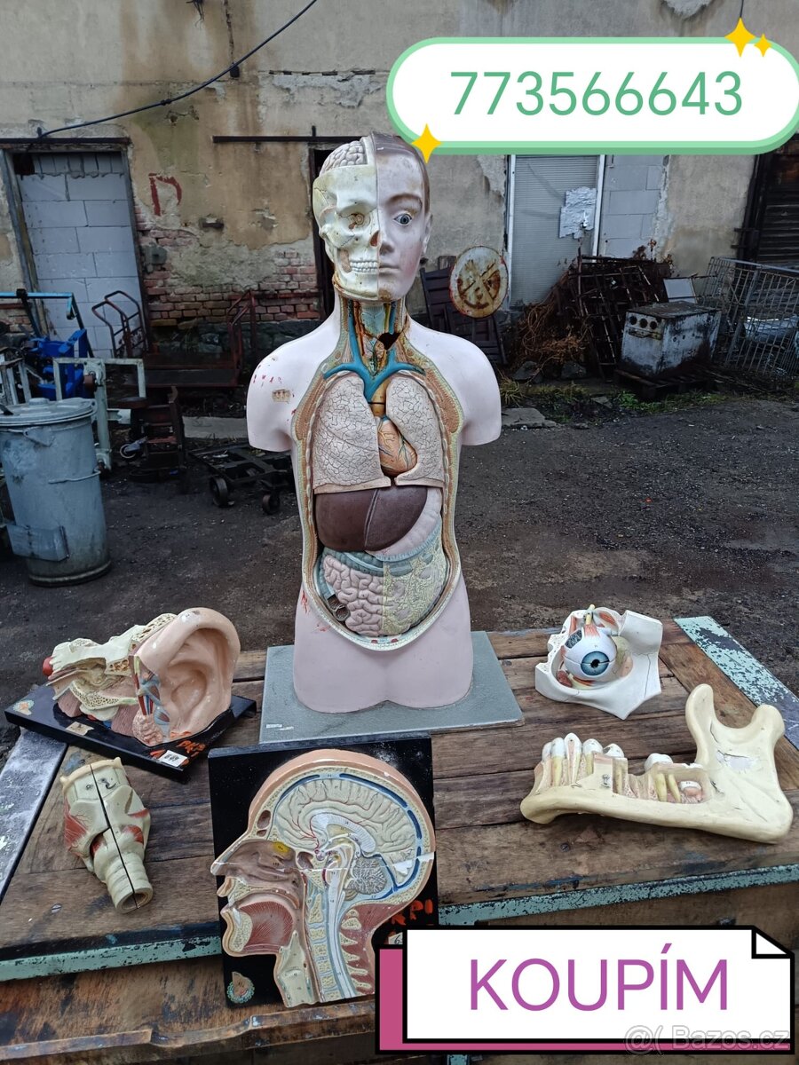 Staré školní pomůcky - 2